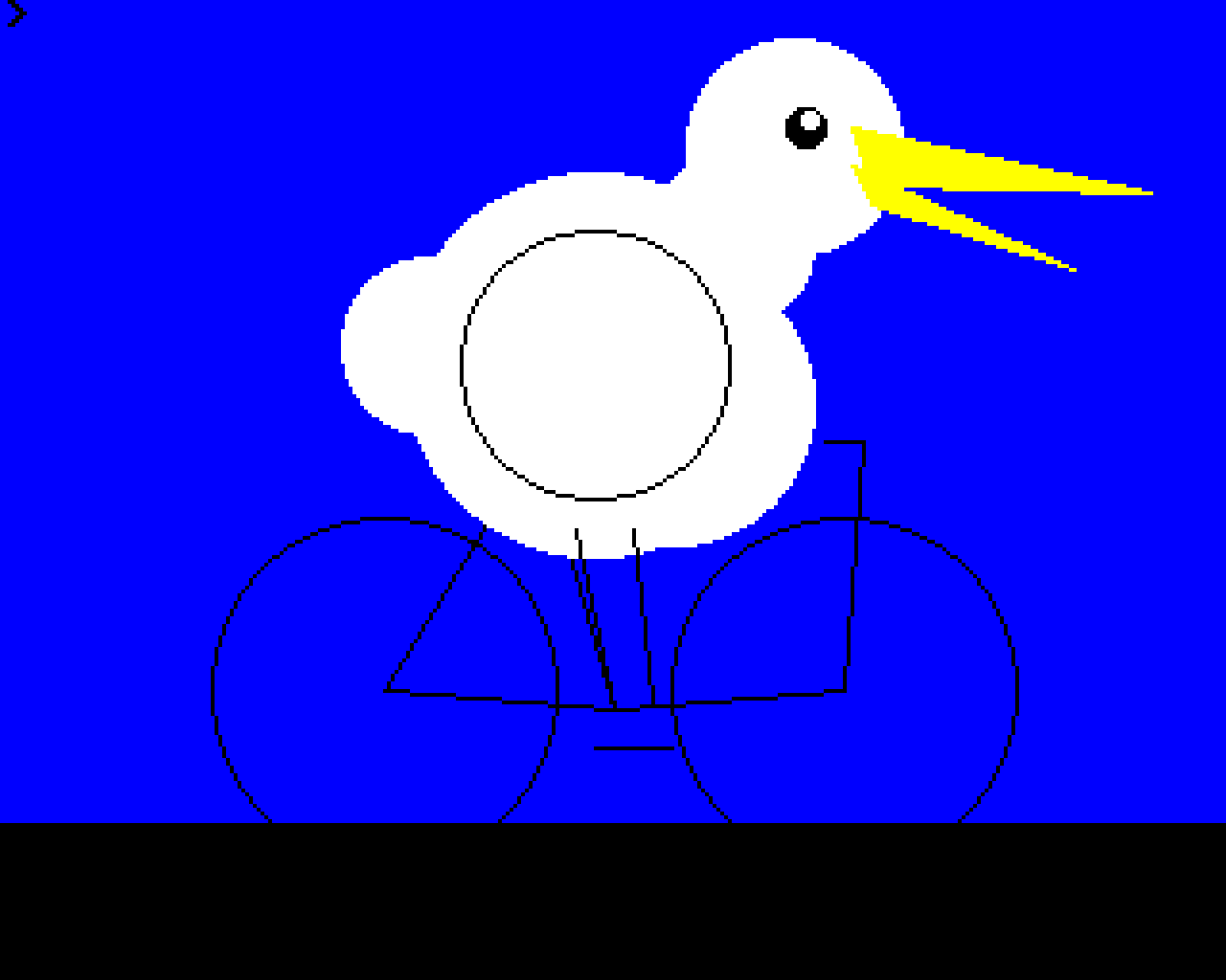 kimi-pelican-1